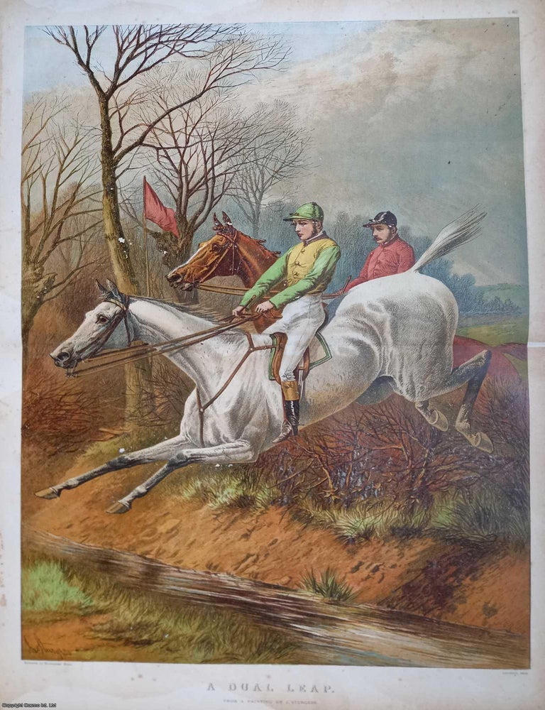 Item #363009 Colour Print : National Hunt Racing. A Dual Leap, from a painting by J. Sturgess....