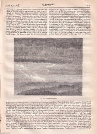 Item #363562 Cloud Classification, by W. Clement Ley, pp207-212 in Nature, Volume 21, Number 531....
