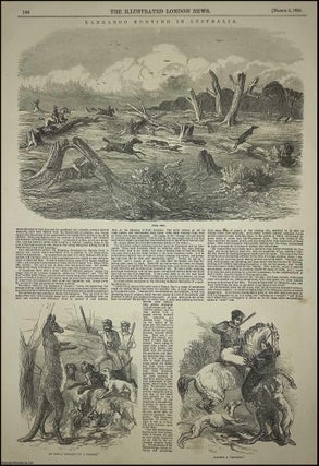 Item #363913 Kangaroo Hunting in Australia. An original print from the Illustrated London News,...