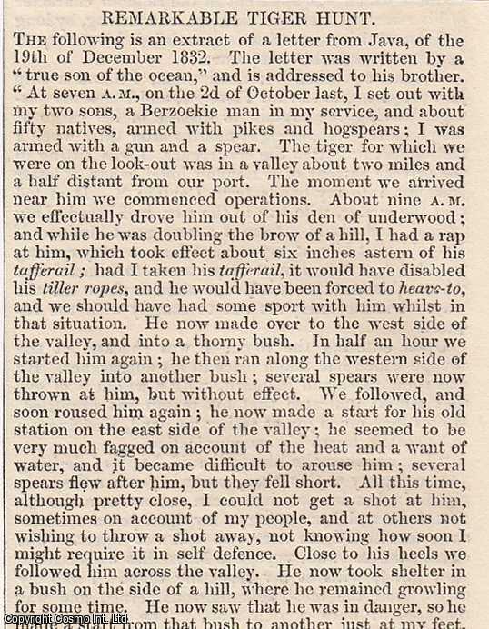 Item #365998 1837. A Remarkable Tiger Hunt in Java, 1832. FEATURED in Chambers' Edinburgh...