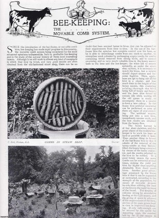 Item #366126 Bee-Keeping. The Movable Comb System. An original article from Country Life...
