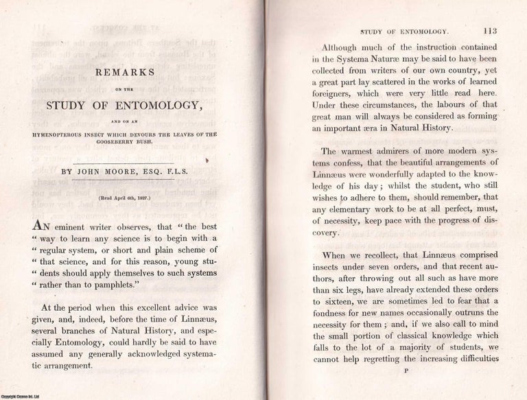 Item #366554 1831: Remarks on the Study of Entomology, and on an Hymenopterous Insect which...