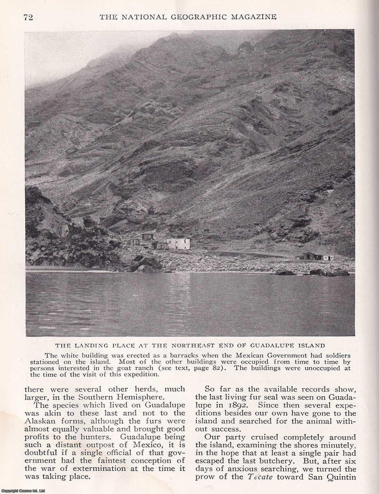 Item #366828 A Cruise among Desert Islands (West Coast of Lower California). An article printed...