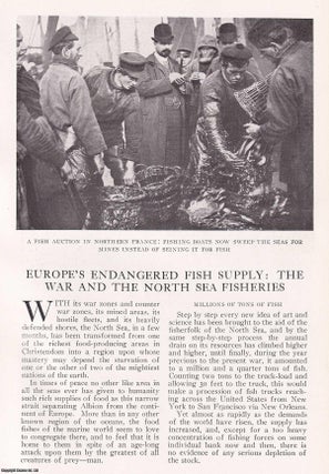 Item #367182 Europe's Endangered Fish Supply: The War and the North Sea Fisheries. An original...