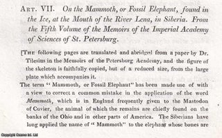 The Mammoth, or Fossil Elephant, found in the Ice, at the Mouth of the River Lena, in Siberia. An uncommon original article from the Journal of Science and the Arts, 1820.
