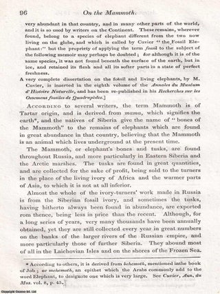 The Mammoth, or Fossil Elephant, found in the Ice, at the Mouth of the River Lena, in Siberia. An uncommon original article from the Journal of Science and the Arts, 1820.