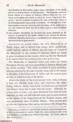 The Mammoth, or Fossil Elephant, found in the Ice, at the Mouth of the River Lena, in Siberia. An uncommon original article from the Journal of Science and the Arts, 1820.