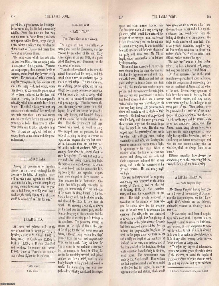Item #367350 Extraordinary Orangutan, the Wild Man of the Woods. An original article from...