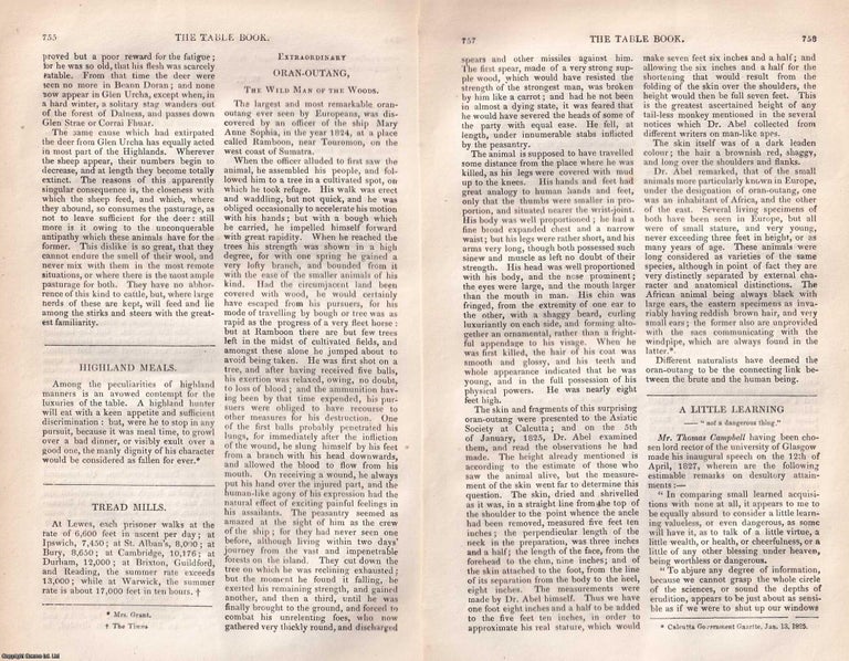 Item #367350 Extraordinary Orangutan, the Wild Man of the Woods. An original article from...