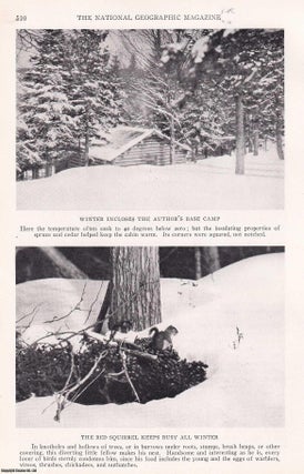 Item #368630 In the Allagash Country. By Kenneth Fuller Lee. An original article from the...