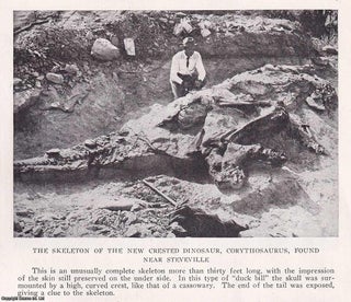 Item #368662 In Search of Fossils in Alberta, Canada, by Barnum Brown. An original article from...