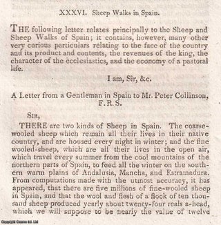 Item #368930 Sheep Walks in Spain, 1764. The sheep and sheep-walks of Spain, in a letter from a...