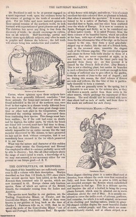 Superstitions of The Druids; Priests of the Ancient Britons. A complete rare weekly issue of the Saturday Magazine, 1832.