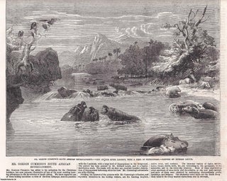 Item #369634 The River Limpopo, with a Herd of Hippoptami. Engraved for the ILN from a painting...