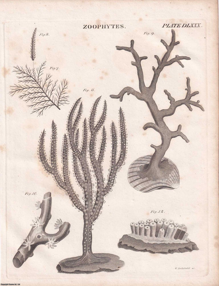 Item #370091 1823 Prints : Zoophytes; Boring of Ordnance; Knighthood; Geology; Levelling .5...