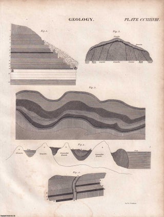 1823 Prints : Zoophytes; Boring of Ordnance; Knighthood; Geology; Levelling .5 Engraved Prints from the Encyclopaedia Britannica, 1823. See pictures for details.
