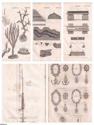 1823 Prints : Zoophytes; Boring of Ordnance; Knighthood; Geology; Levelling .5 Engraved Prints from the Encyclopaedia Britannica, 1823. See pictures for details.