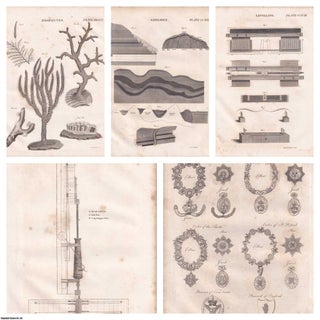 1823 Prints : Zoophytes; Boring of Ordnance; Knighthood; Geology; Levelling .5 Engraved Prints from the Encyclopaedia Britannica, 1823. See pictures for details.
