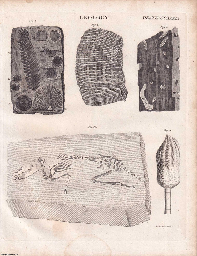 Item #370094 1823 Prints : Geology; Stove; Zoophytes; Thermometers; Vegetable Physiology .5...
