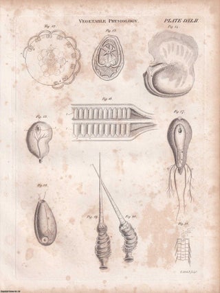 1823 Prints : Burning Mirror; Vegetable Physiology; Galvanism; Zoophytes; Levelling .5 Engraved Prints from the Encyclopaedia Britannica, 1823. See pictures for details.
