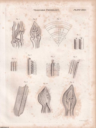 1823 Prints : Cold, Cooling & Freezing; Flags; Filtering Apparatus; Zoophytes; Vegetable Physiology .5 Engraved Prints from the Encyclopaedia Britannica, 1823. See pictures for details.