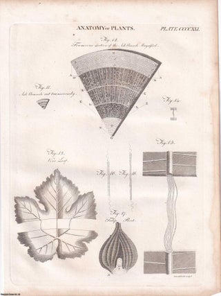 1823 Prints : Cyder Press; Chimes; Boring Wooden Pipes; Turning; Anatomy of Plants .5 Engraved Prints from the Encyclopaedia Britannica, 1823. See pictures for details.