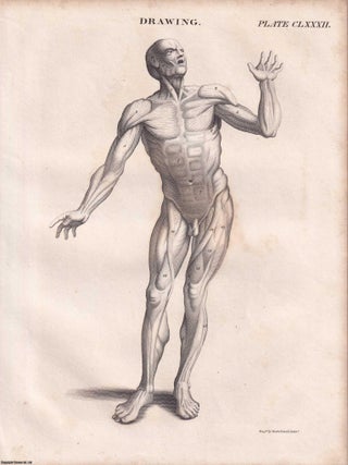 1823 Prints : Apparatus for Inflating the Lungs; Mast; Drawing; Anatomy of Plants; Breakwater .5 Engraved Prints from the Encyclopaedia Britannica, 1823. See pictures for details.