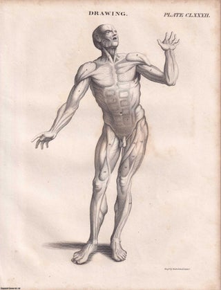 1823 Prints : Apparatus for Inflating the Lungs; Mast; Drawing; Anatomy of Plants; Breakwater .5 Engraved Prints from the Encyclopaedia Britannica, 1823. See pictures for details.