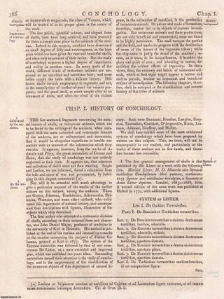 1823 : Conchology, that department of natural history which treats of testaceous animals. With 4 copper engravings. A rare original article from the Encyclopaedia Britannica, 1823.