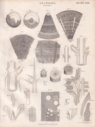 1823 : Anatomy. The Structure of Living Bodies. With 5 copper engravings. A rare original article from the Encyclopaedia Britannica, 1823.