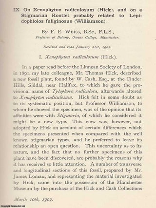 Hymenoptera Orientalia, or Contributions to a Knowledge of The Hymenoptera of The Oriental Zoological Region. Part 5. Memoirs of the Literary and Philosophical Society of Manchester, Vol 41, Part 2, 1897.