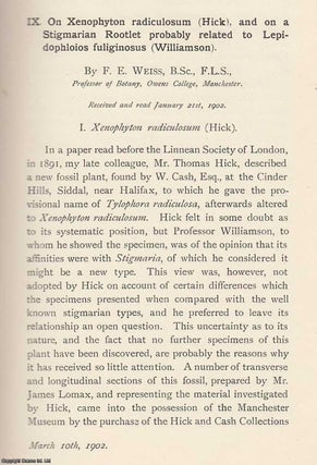 Hymenoptera Orientalia, or Contributions to a Knowledge of The Hymenoptera of The Oriental Zoological Region. Part 5. Memoirs of the Literary and Philosophical Society of Manchester, Vol 41, Part 2, 1897.
