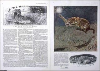 A Free Will Offering. With a colour Tiger print. By B.M. Croker. Illustrated by John Charlton.