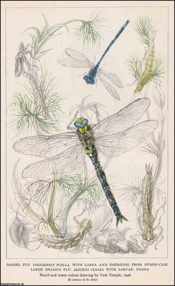 Item #370695 British Anglers' Natural History. With 8 colour plates. Written by E.G....