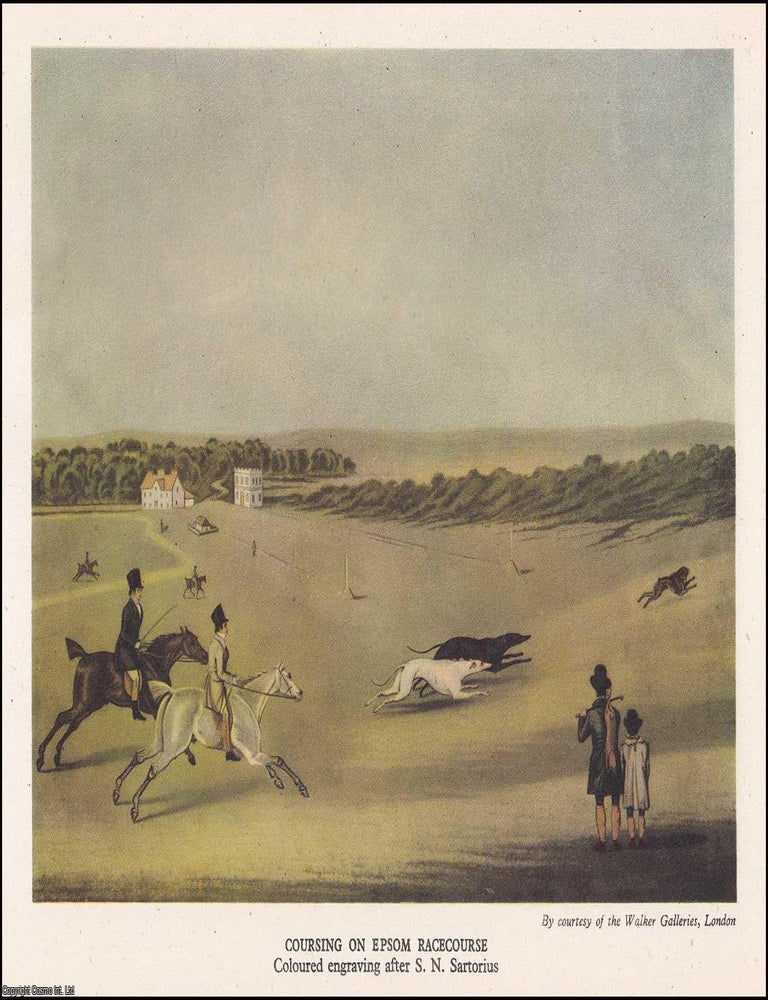 Item #370705 British Dogs. With 8 colour plates. Written by A. Croxton Smith. Number 96 in the...
