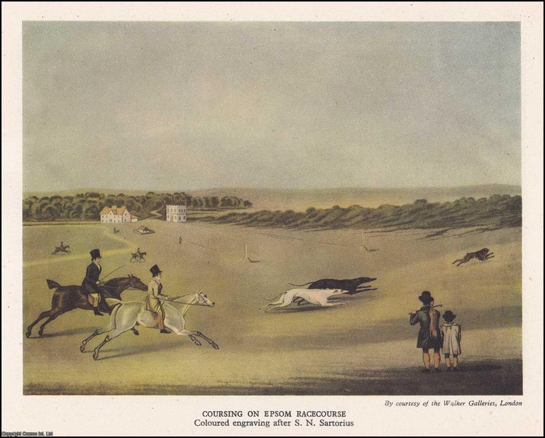 Item #371629 British Dogs. With 8 colour plates. Written by A. Croxton Smith. Number 96 in the...