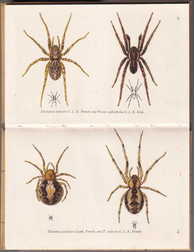 Item #372133 A Book of Spiders, by W.S. Bristowe. King Penguin K35. ARACHNIDS