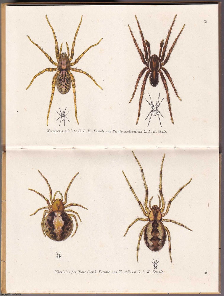 Item #372133 A Book of Spiders, by W.S. Bristowe. King Penguin K35. ARACHNIDS