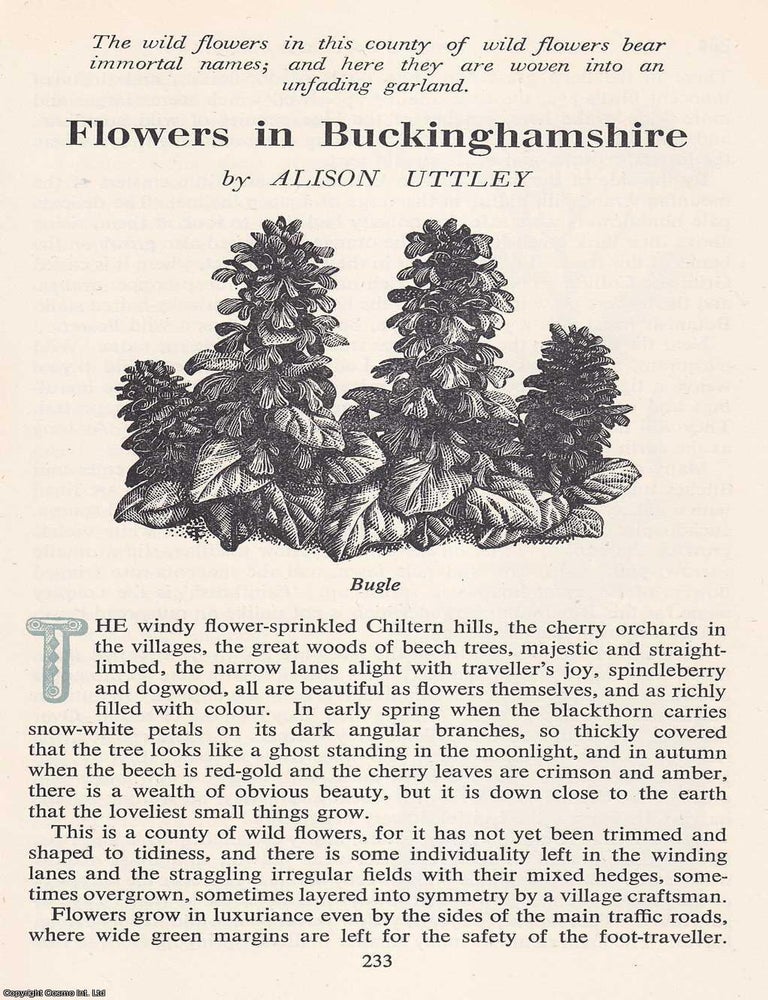Item #372338 Flowers in Buckinghamshire. An original article from the Saturday Book, 1949. Alison...