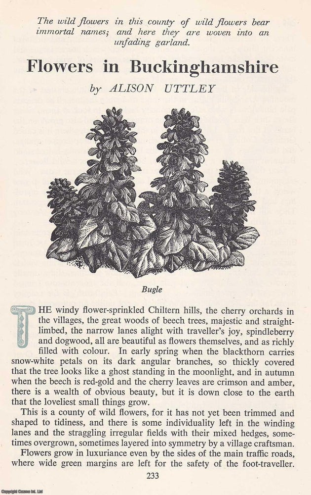Item #372338 Flowers in Buckinghamshire. An original article from the Saturday Book, 1949. Alison...