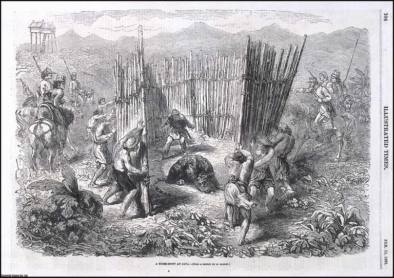 Item #372597 A Tiger Hunt at Java, Indonesia. From a Sketch by M. Bonnet. An original print from...