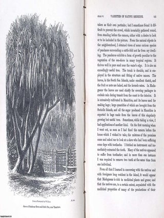 Three Visits to Madagascar, during the Years 1853-1854-1856. Including a Journey to the Capital. With Notices of the Natural History of the Country and of the Present Civilisation of the People. Illustrated by Woodcuts from Photographs, etc.