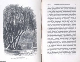 Three Visits to Madagascar, during the Years 1853-1854-1856. Including a Journey to the Capital. With Notices of the Natural History of the Country and of the Present Civilisation of the People. Illustrated by Woodcuts from Photographs, etc.