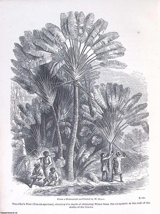 Three Visits to Madagascar, during the Years 1853-1854-1856. Including a Journey to the Capital. With Notices of the Natural History of the Country and of the Present Civilisation of the People. Illustrated by Woodcuts from Photographs, etc.