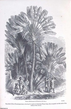 Three Visits to Madagascar, during the Years 1853-1854-1856. Including a Journey to the Capital. With Notices of the Natural History of the Country and of the Present Civilisation of the People. Illustrated by Woodcuts from Photographs, etc.