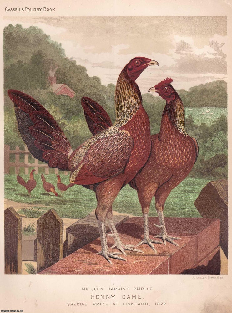 Item #373336 HENNY GAME CHICKENS : Mr John Harris's Pair of Henny Game, awarded the Special...