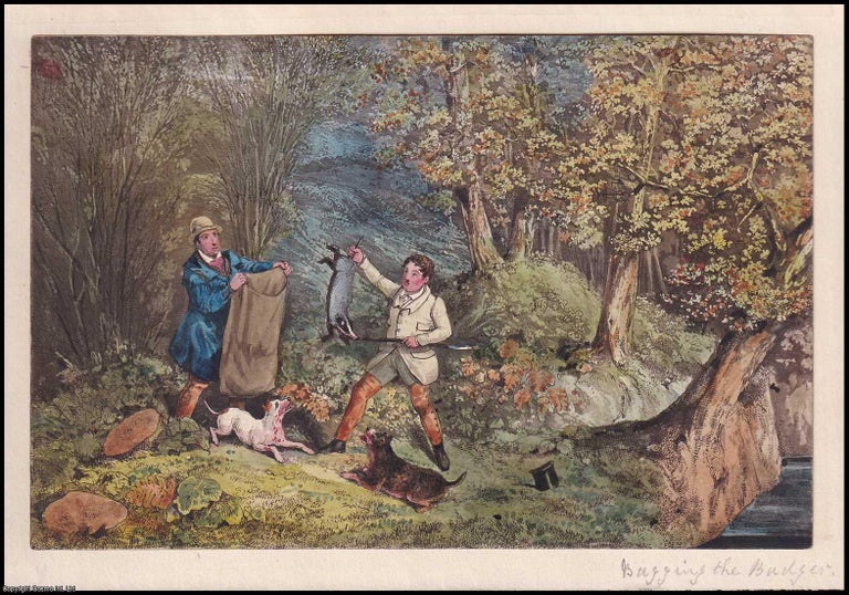 Item #373543 Bagging the Badger, c. 1830. HAND-COLOURED IN PERIOD STYLE EARLY 19TH CENTURY...