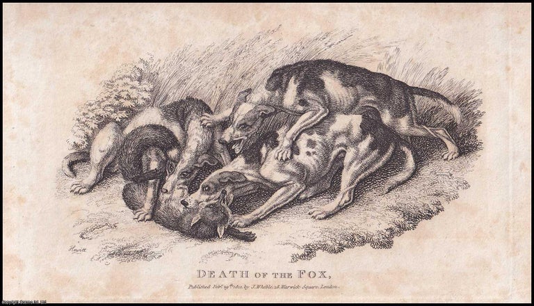 Item #373593 Death of the Fox with Three Hounds - February 1807. Drawn by S. Howitt, Published by...