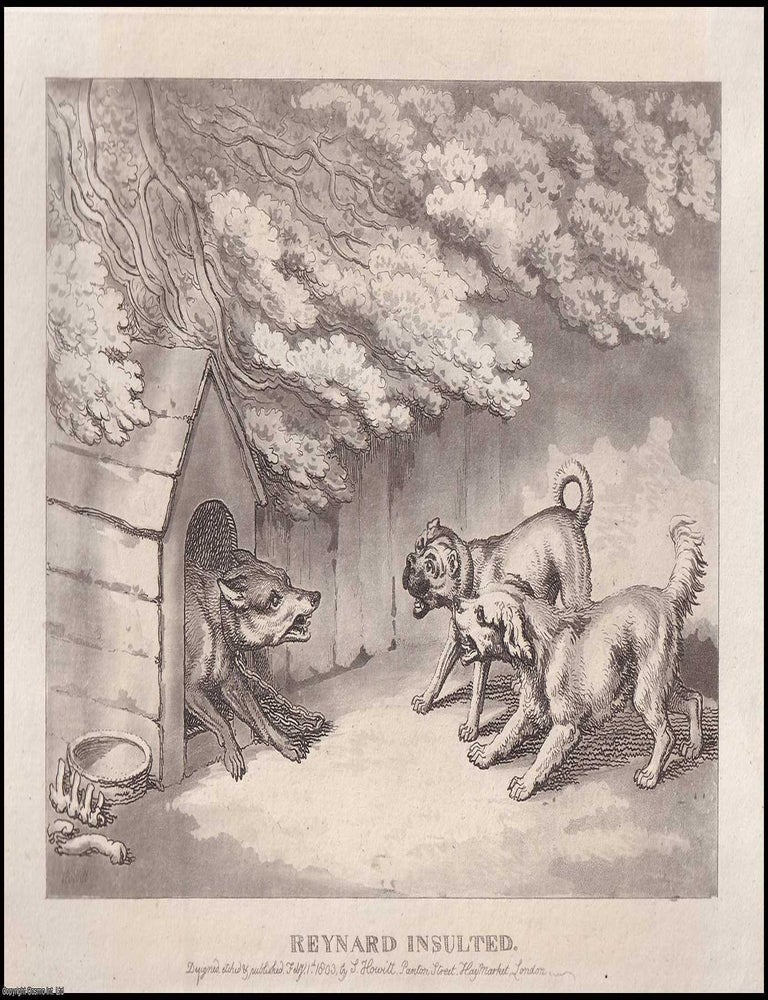 Item #373595 Reynard Insulted - Fox and Hounds in Confrontation. Designed and Etched by I....