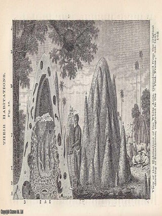 The White Ants; Hidden Cities, Strange Labours, and the Architecture of Insects . An early natural-philosophical account revealing how Victorian observers marvelled at the engineering genius of termite societies. By Dionysius Lardner. A complete article printed in 1856.
